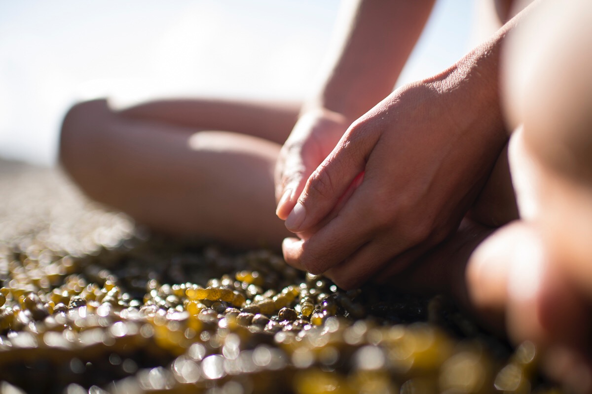 Vedic Meditation teacher Kate Cliff of Kate Cliff Meditation on the South Coast